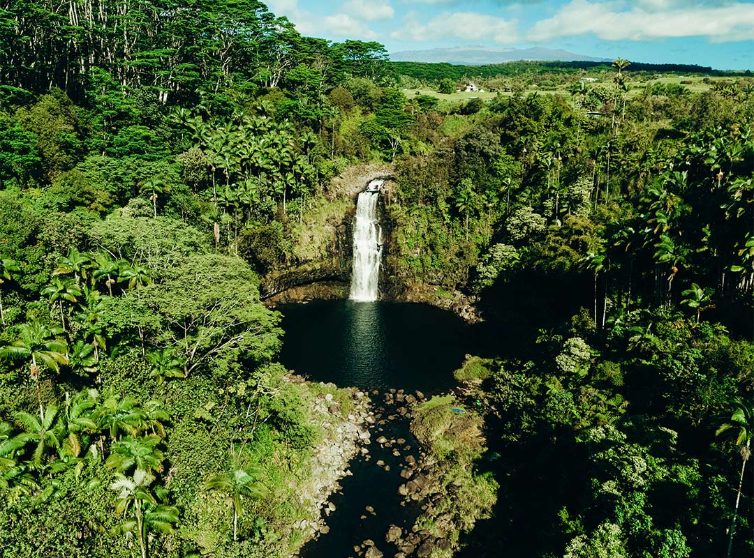 Waterfall - Island of Hawai‘i 