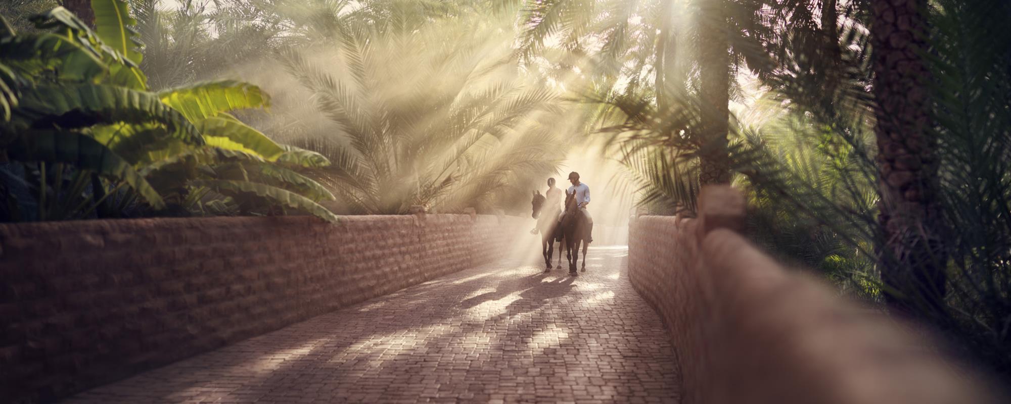 This hidden oasis is a must see Middle East secret