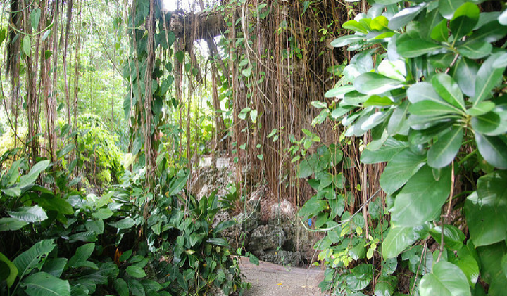 Andromeda Botanical Gardens