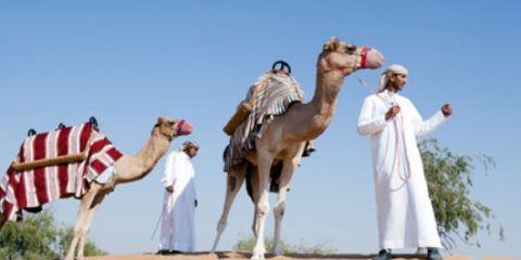 Taking a camel ride at Banyan Tree Al Wadi