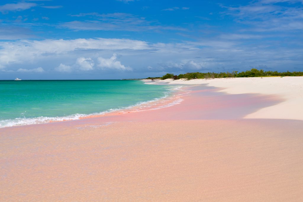 Barbuda Beach