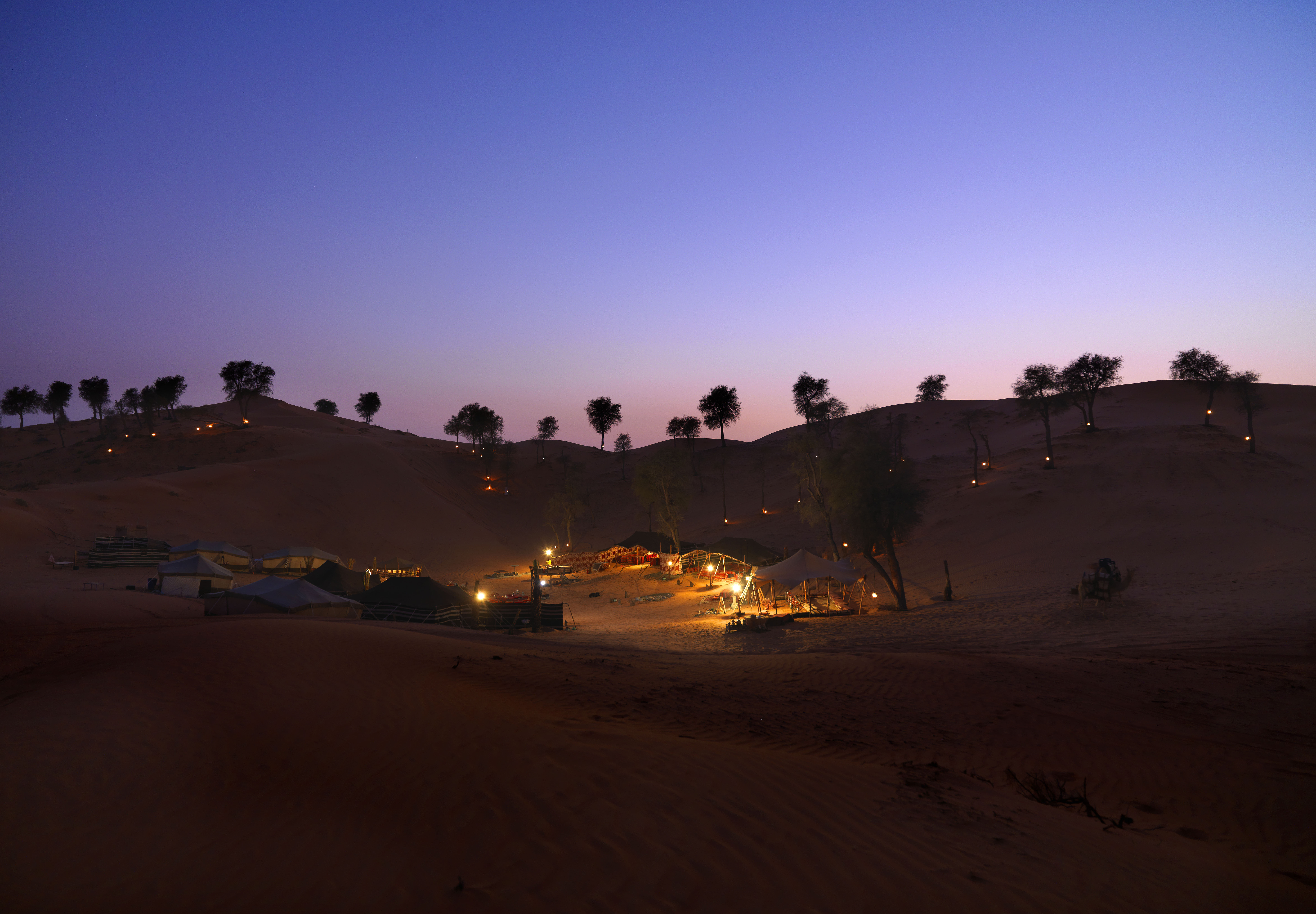 A Middle East holiday to Bendouin Oasis.