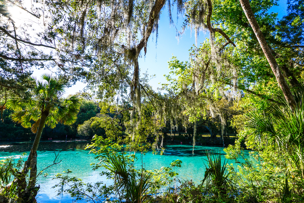 Blue water in Florida