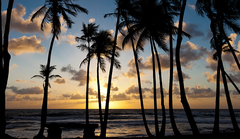 A Kenwood Travel celebrity holiday to the Dominican Republic. 