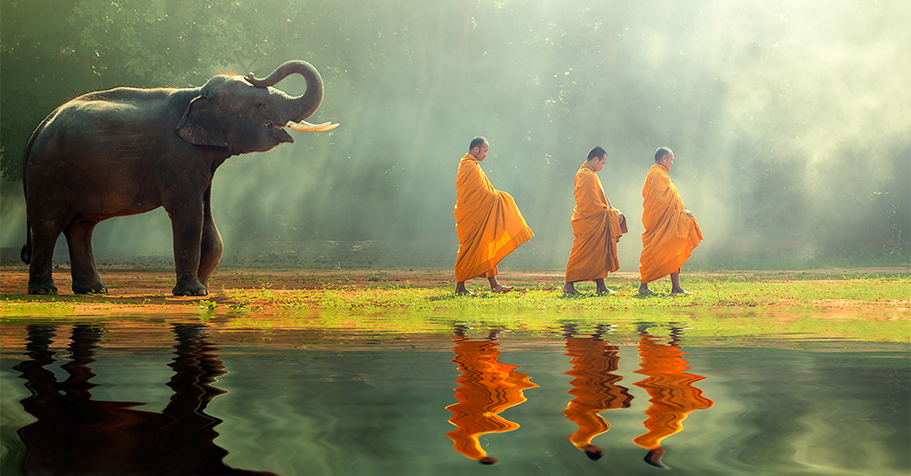 An elephant following some Buddhist monks
