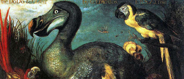The Dodo in Mauritius - Its metabolic processes are now history