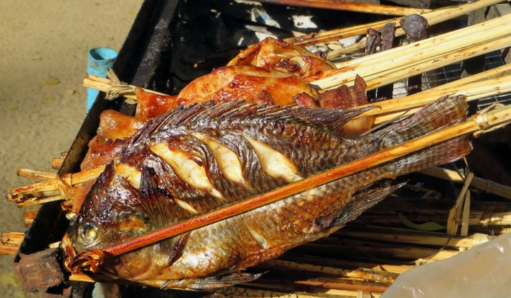 Grilled Fish
