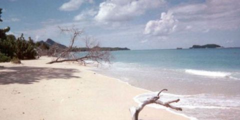 Best Beaches in Grenada