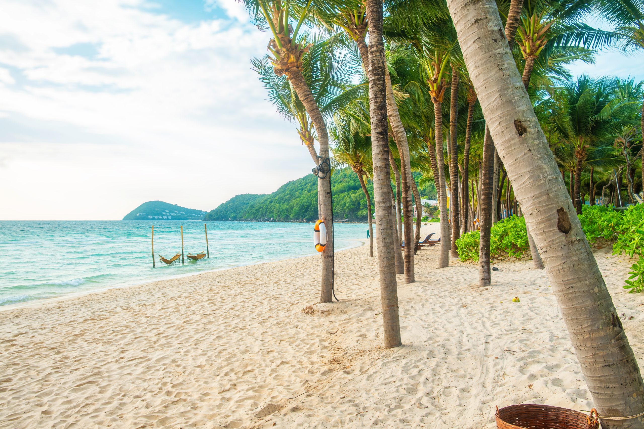 Khem Beach palm tree Vietnam
