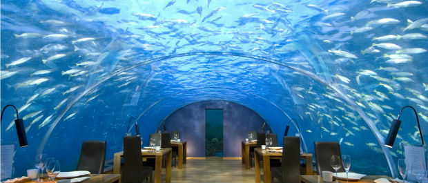 Maldives Underwater Restaurant