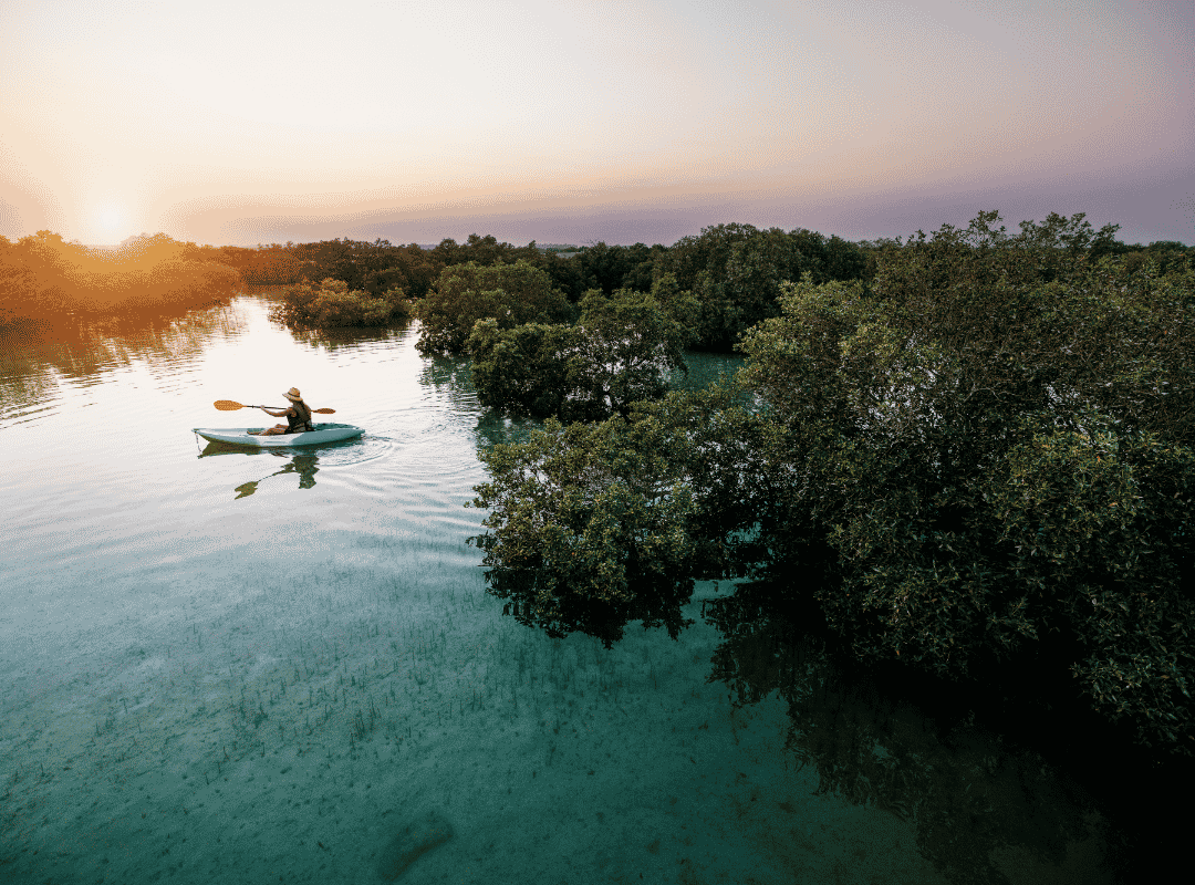 Mangrove National Park