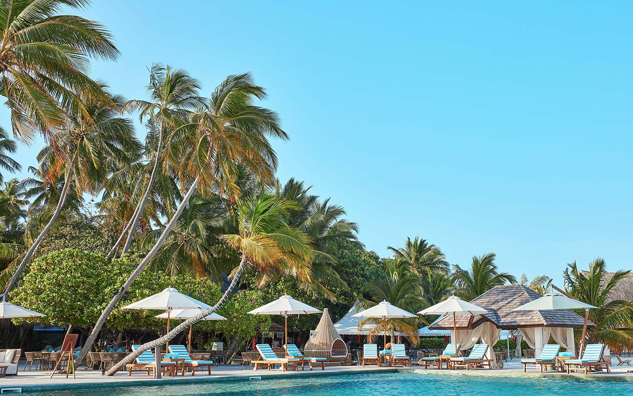 Angsana Velavaru pool beneath palm