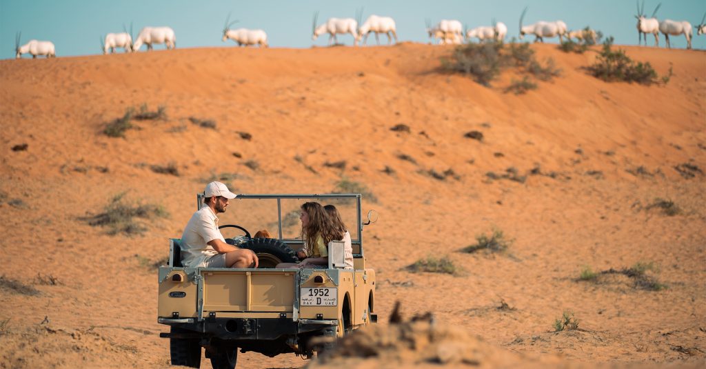 Desert Safari in Ras Al Khaimah