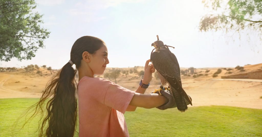 Falcon Show in Ras Al Khaimah