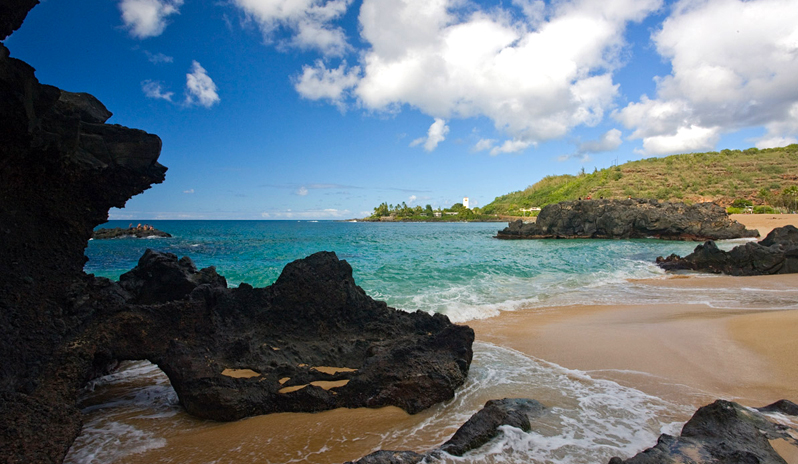 A celebrity holiday to Hawaii