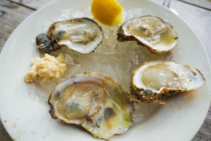 Apalachicola oysters 