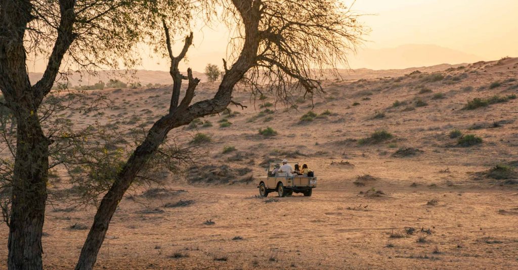 Al Wadi Desert
