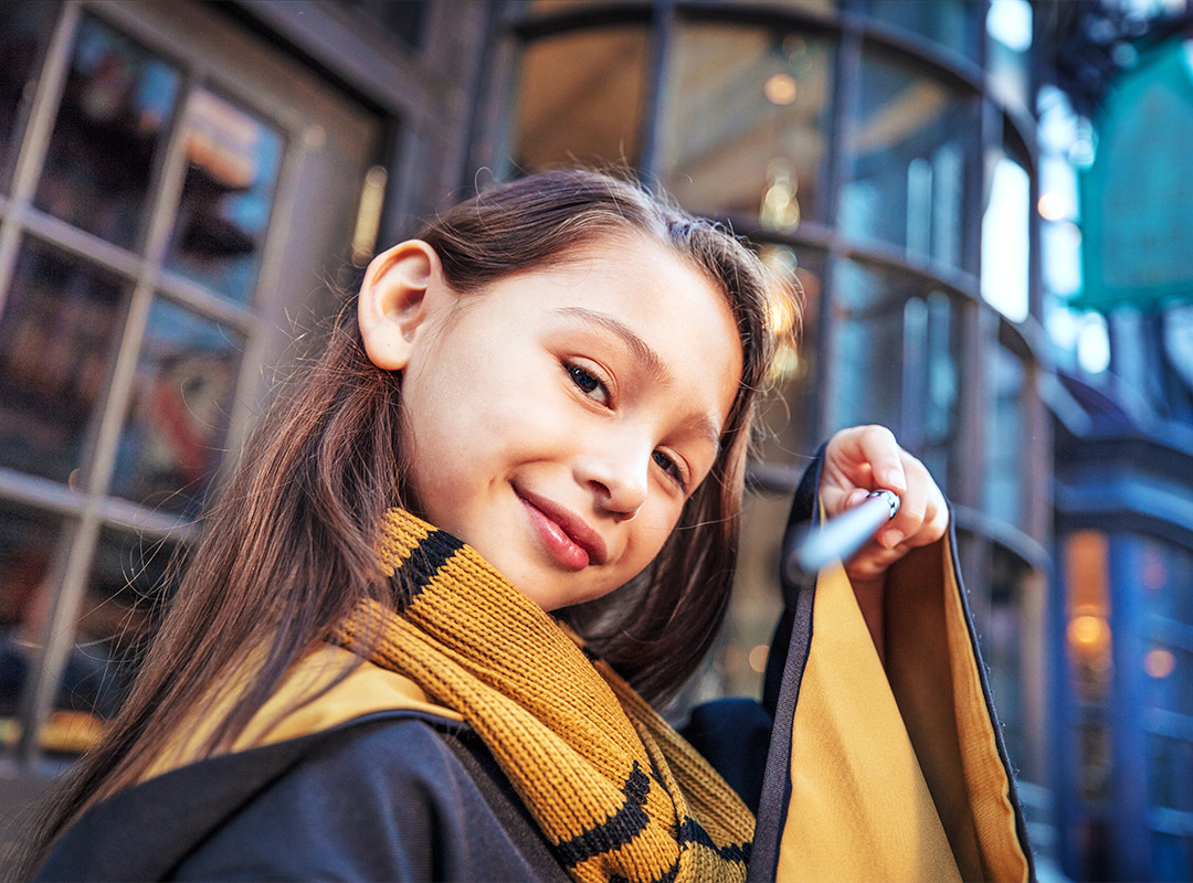 The Widzarding World Of Harry Potter