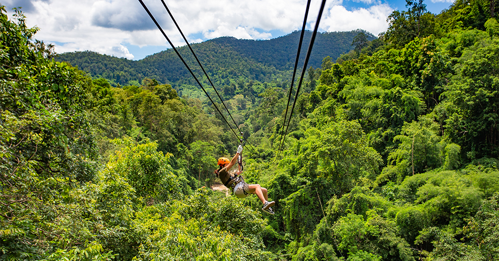 Ziplining through treetops