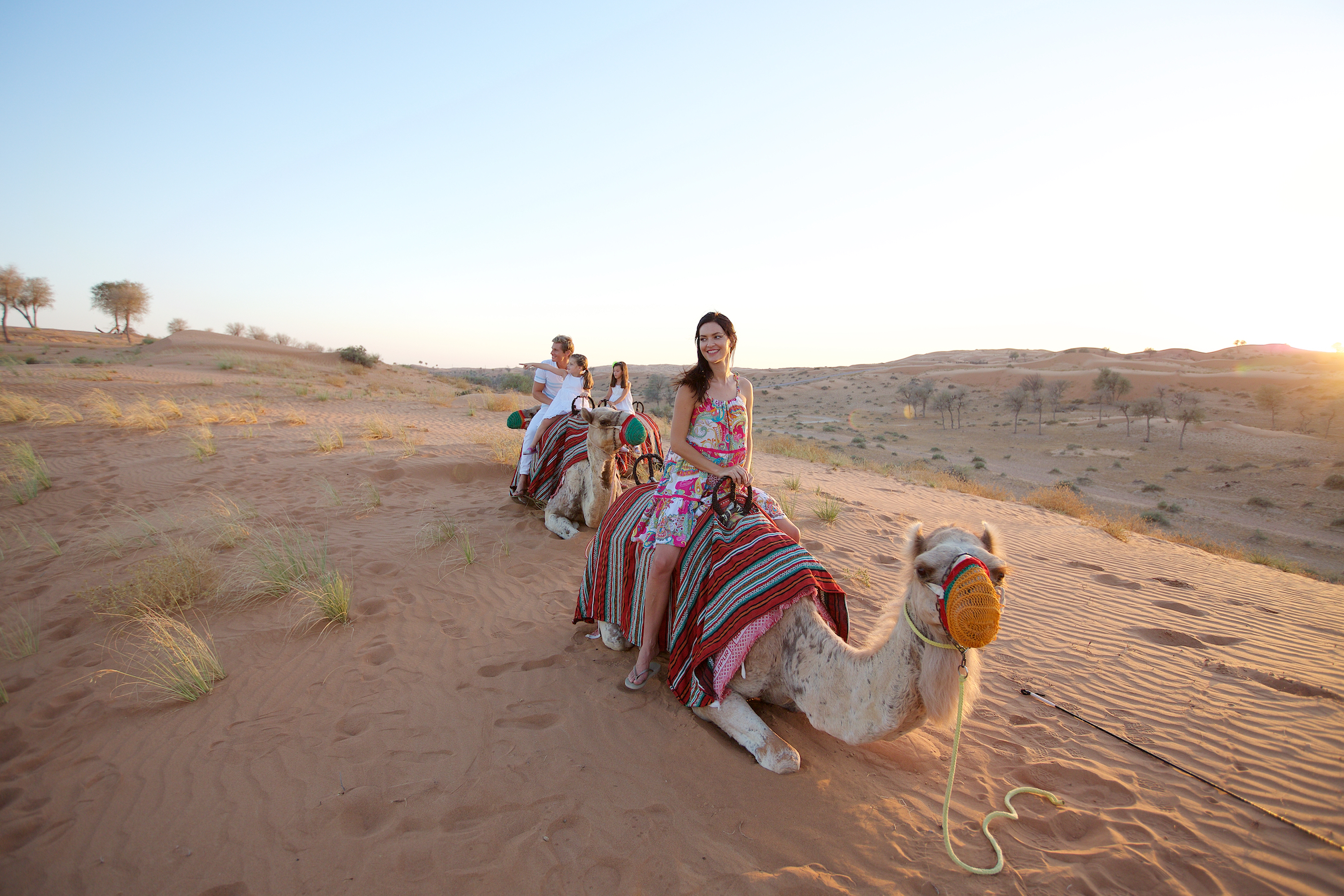These camels might not be in Dubai, but they're carrying a sweet Middle East secret there