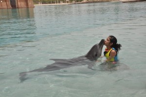 dolphins