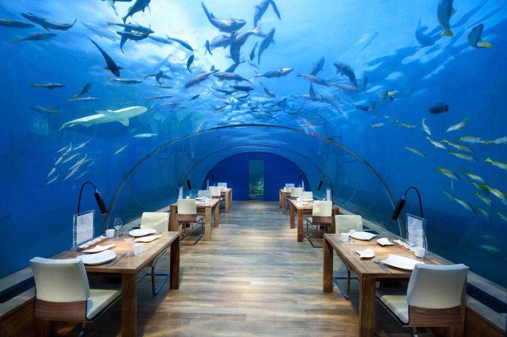 Underwater Maldives: Ithaa restaurant at the Conrad Maldives
