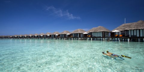 Snorkelling in the Maldives