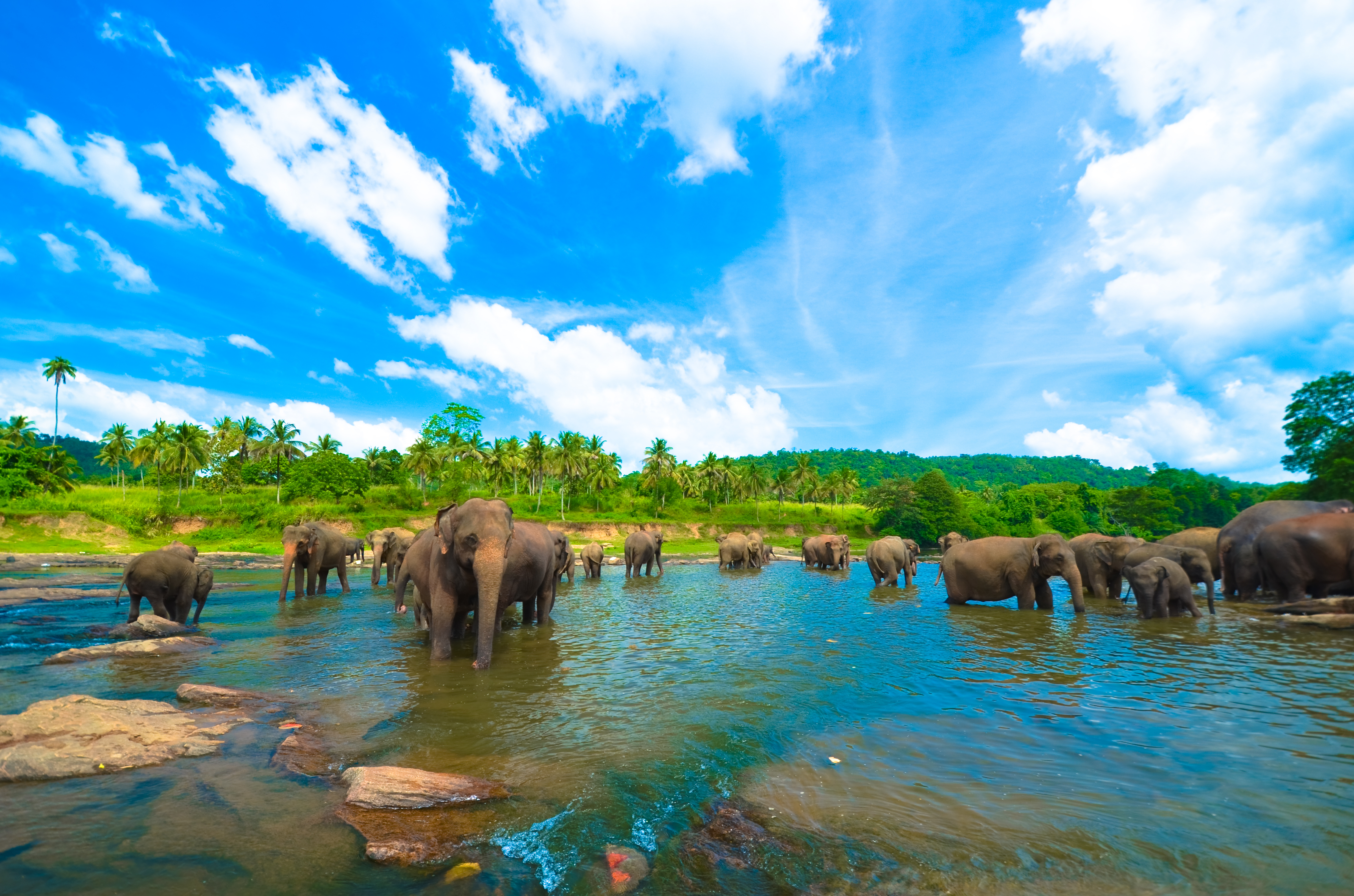 Adventure Sri Lanka tours