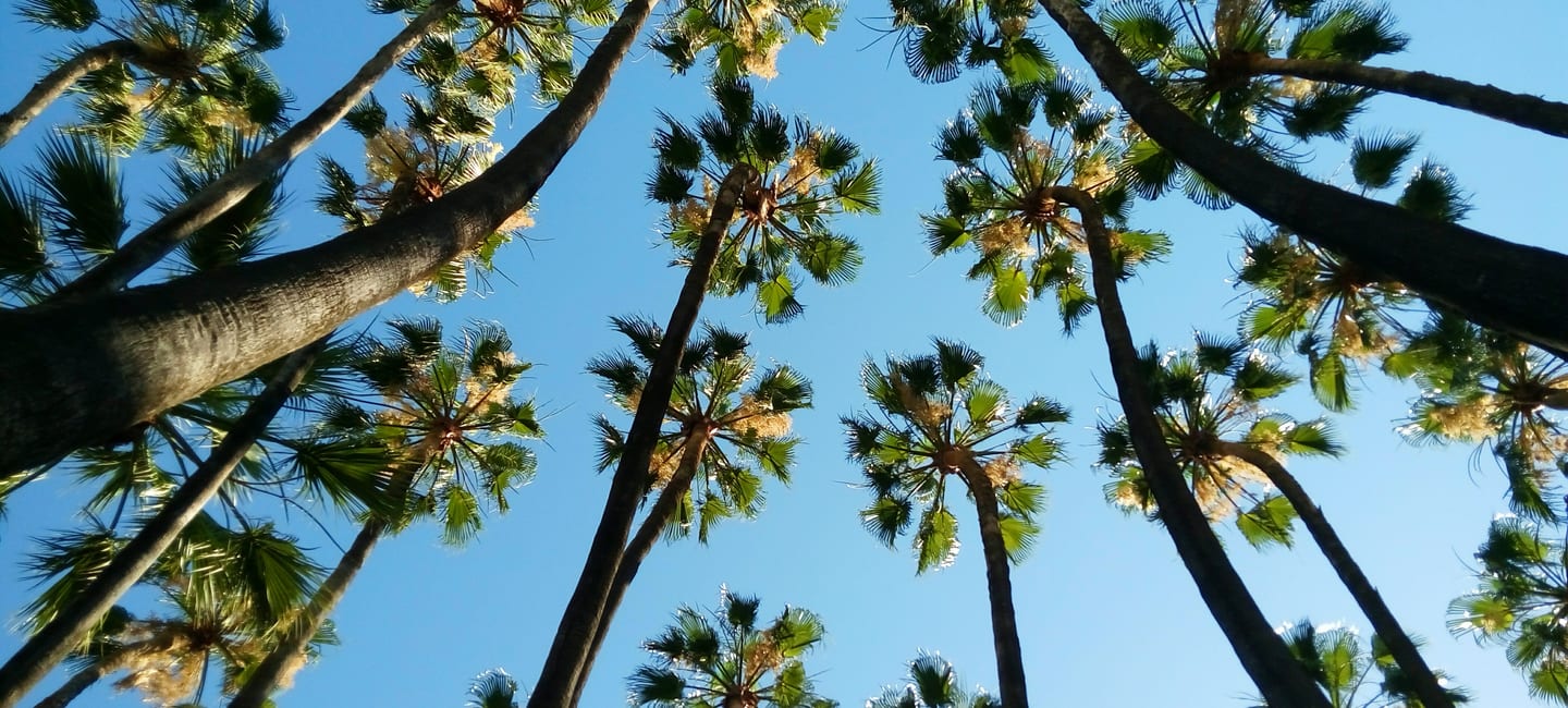 Costa del Sol Hotels