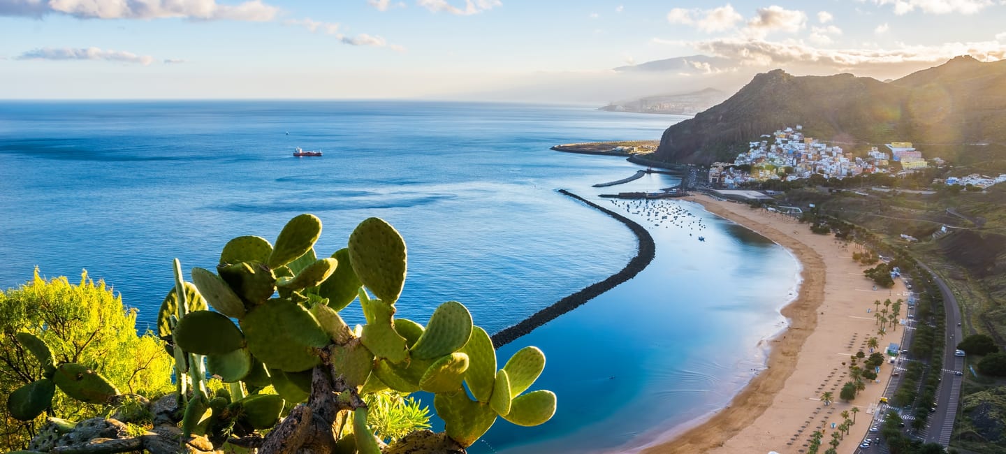 Tenerife Special Offers