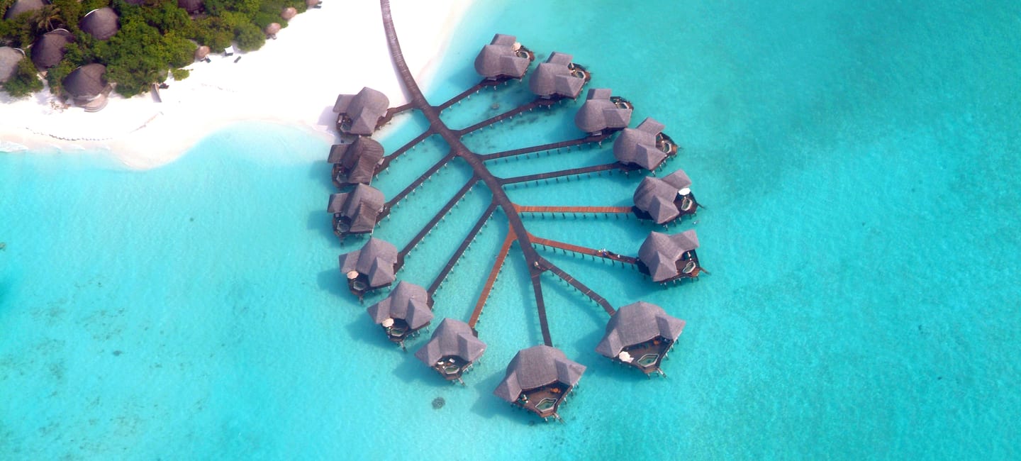 Coco Palm Dhuni Kolhu