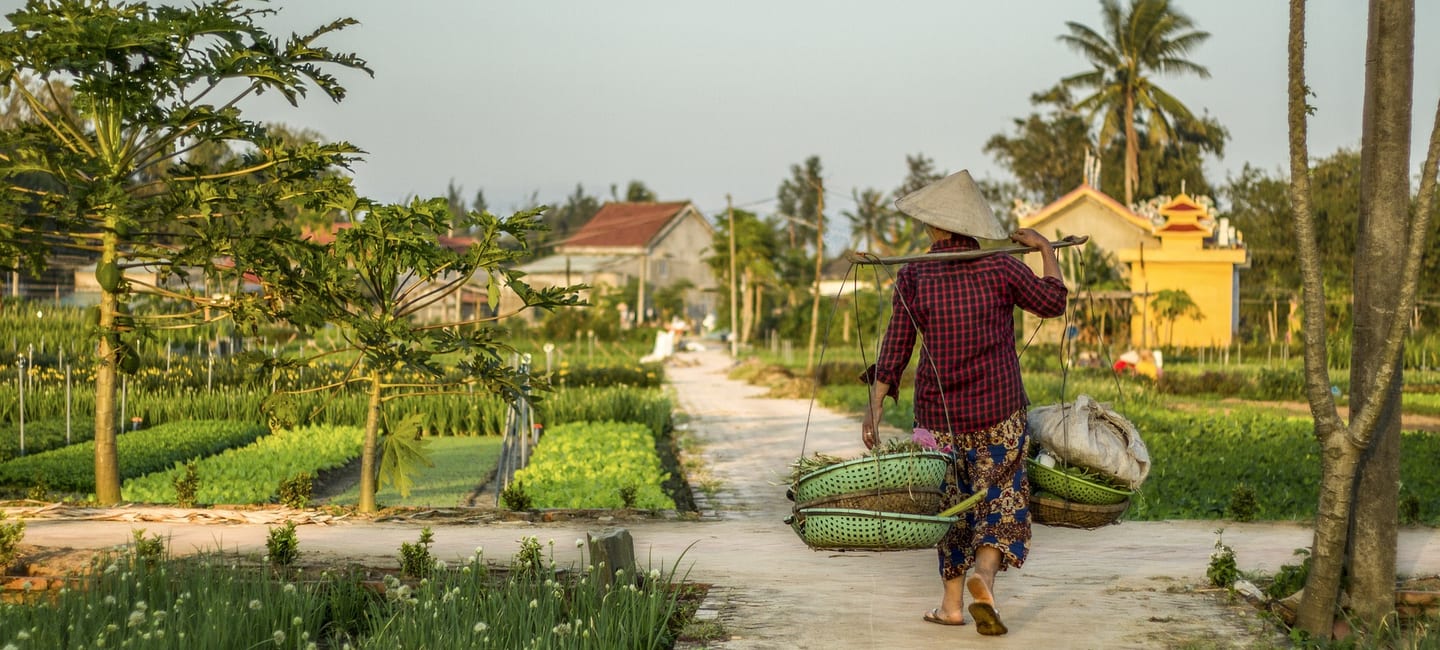 Hoi An & Da Nang Hotels