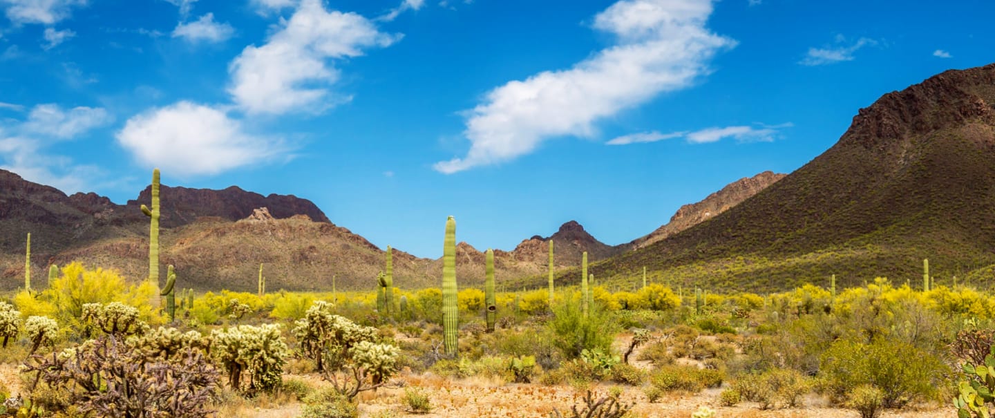 Pioneer Trails - 18 day Self Drive with flights