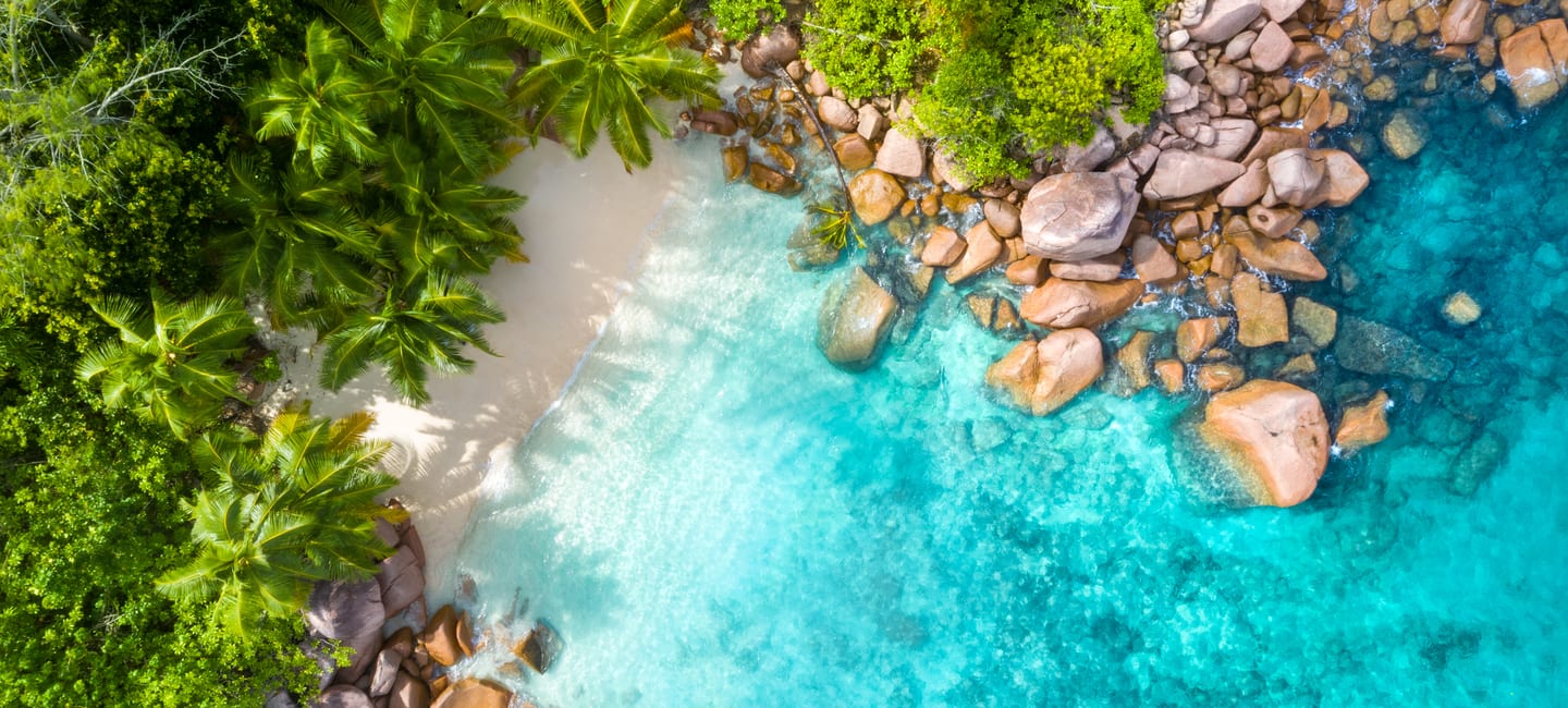 Seychelles Special Offers