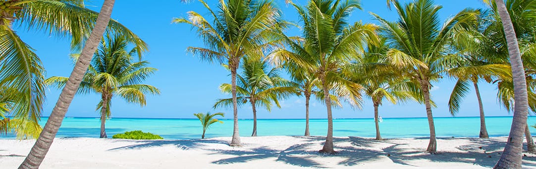 the-palm-beaches