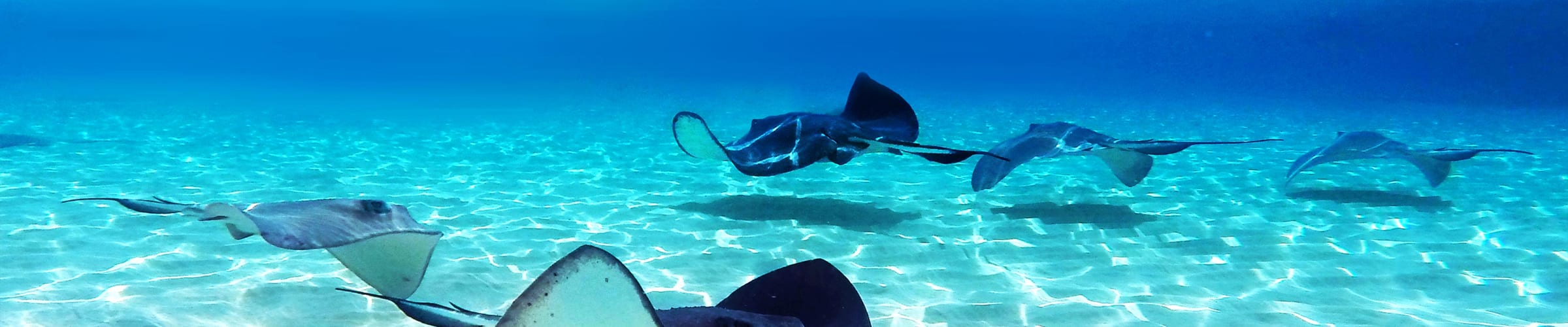 Cayman Islands Holidays