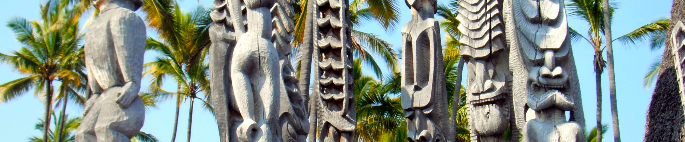 Hawaii Special Offers