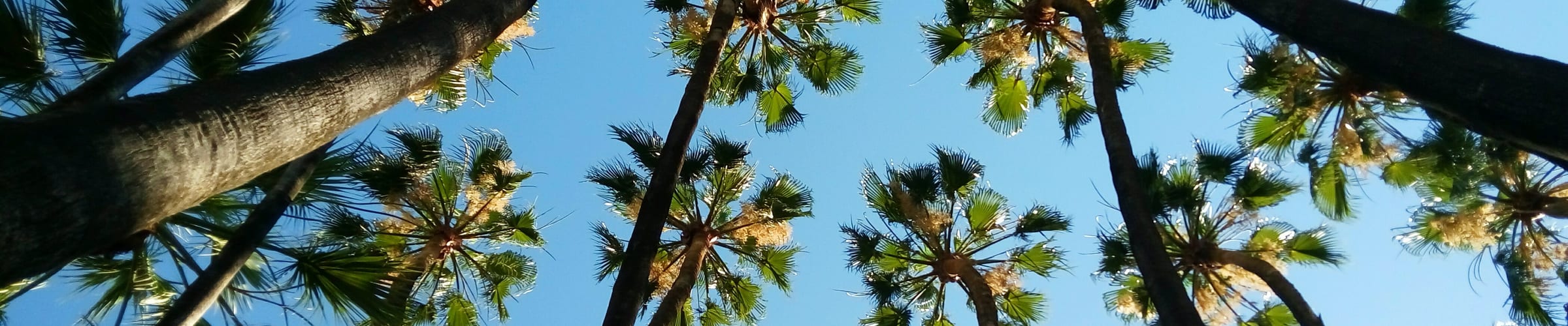 Costa del Sol Hotels