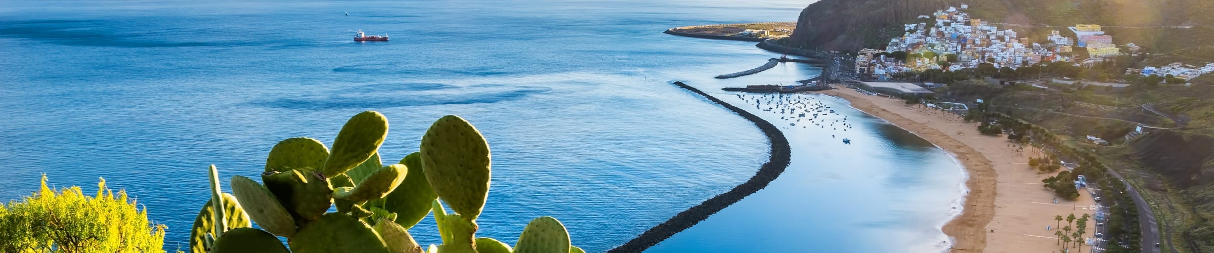 Tenerife Special Offers