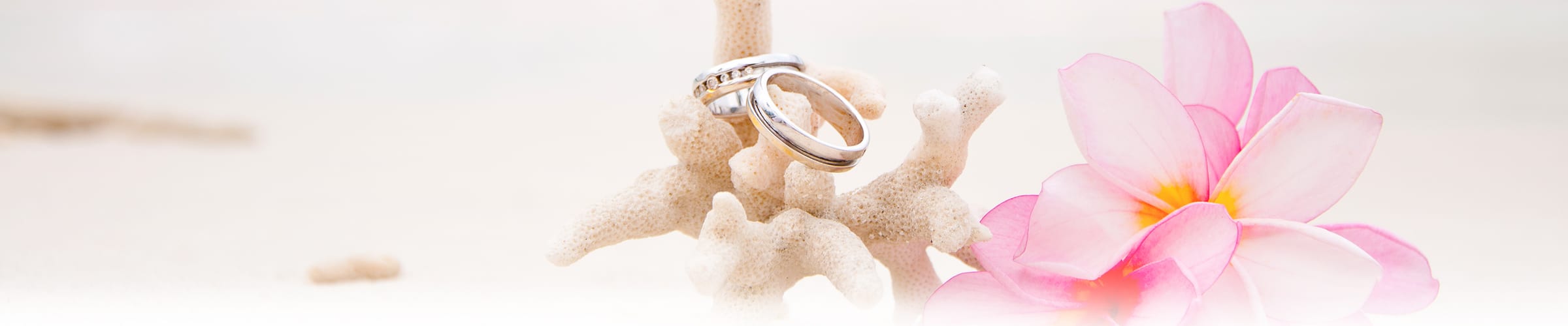 Wedding Enquiry Complete