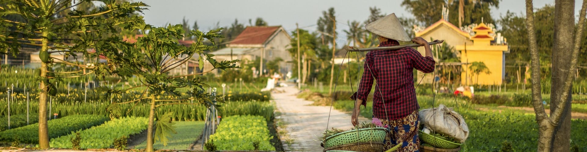 Hoi An & Da Nang Hotels