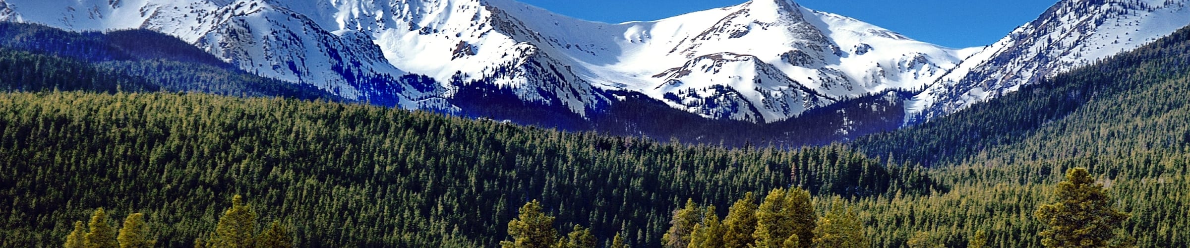 Denver & Colorado Springs Hotels