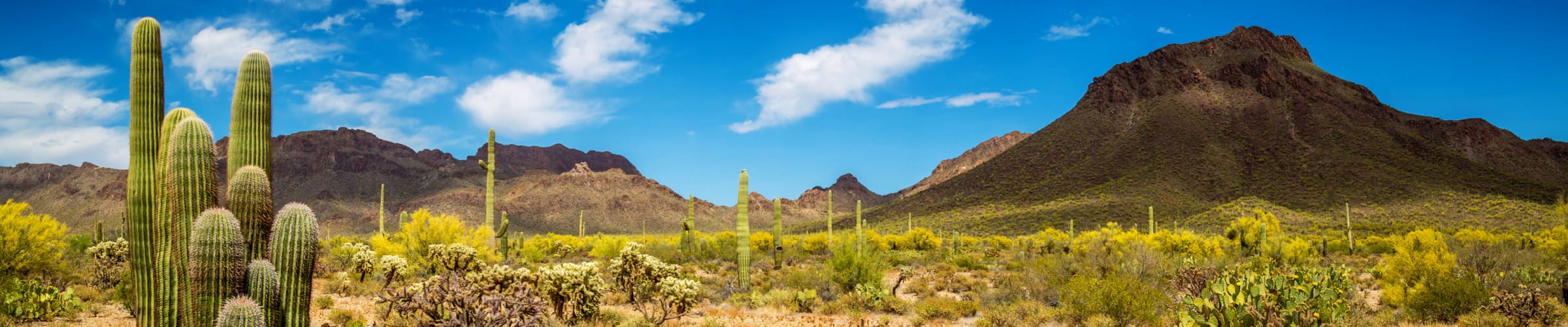 Pioneer Trails - 18 day Self Drive with flights