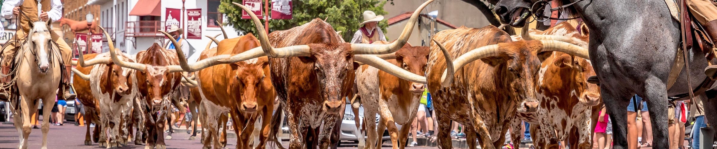 The Heart of Texas - 14 day Self Drive with flights