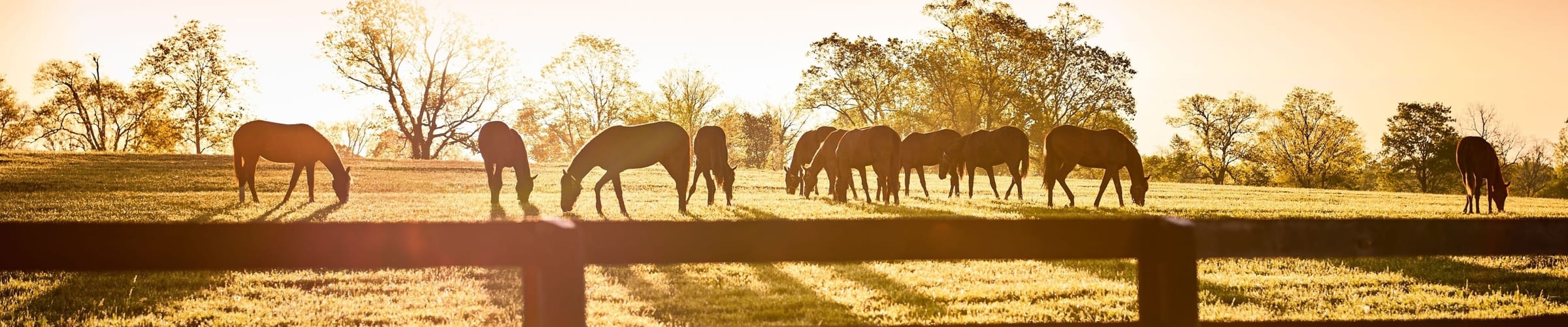 Highlights of Kentucky - 10 day Self Drive with flights