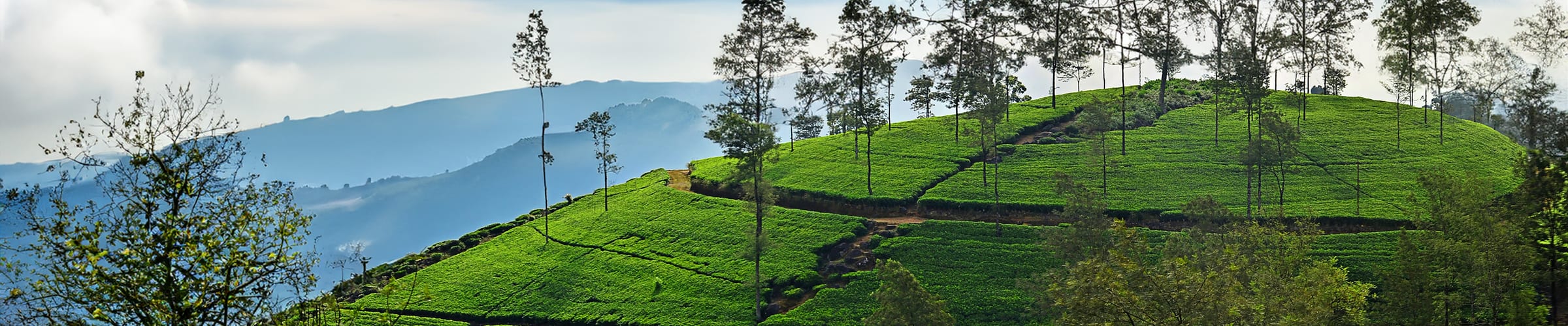 Culture & Wildlife Expedition