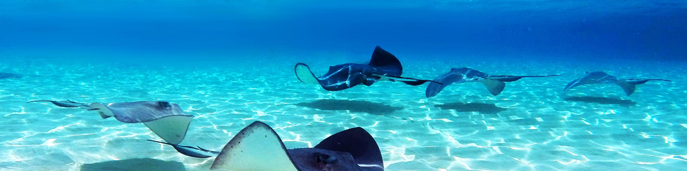 Cayman Islands Holidays