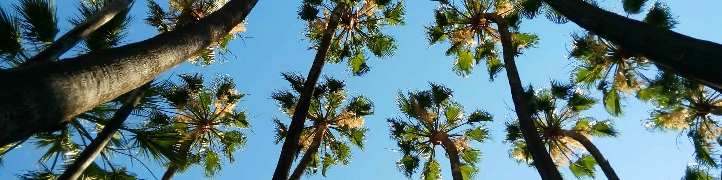 Costa del Sol Hotels