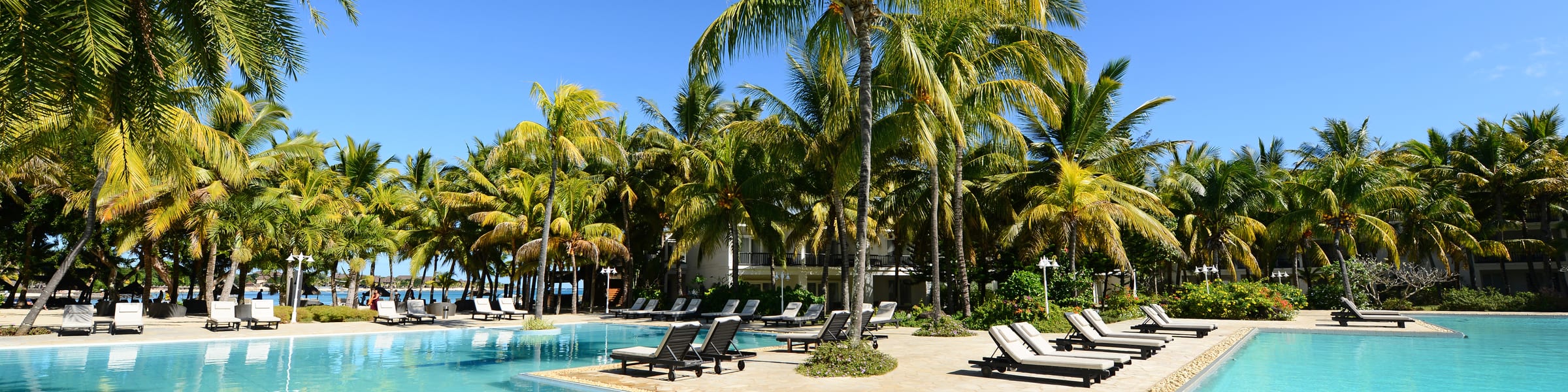 The Ravenala Attitude