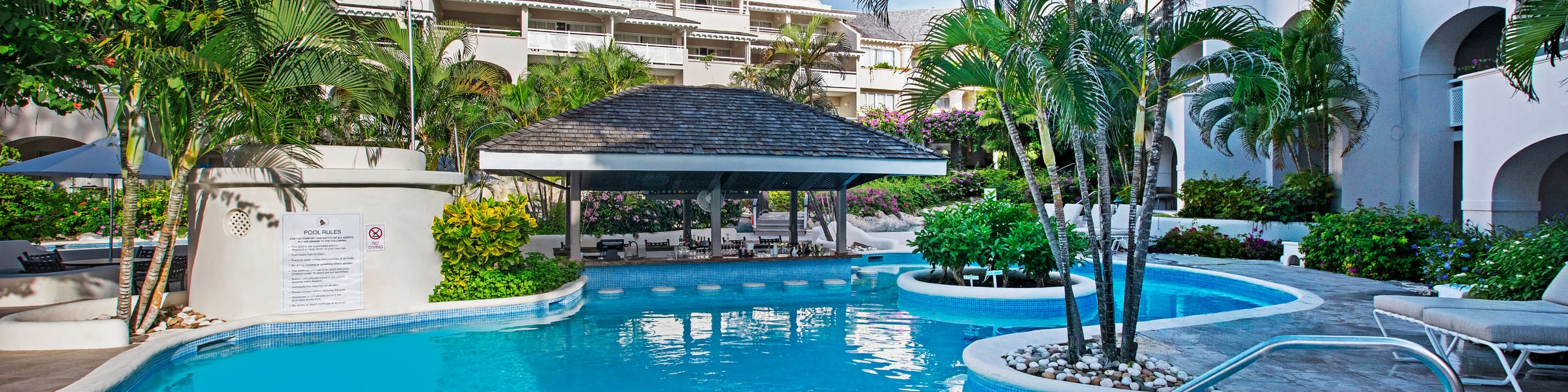 Bougainvillea Barbados